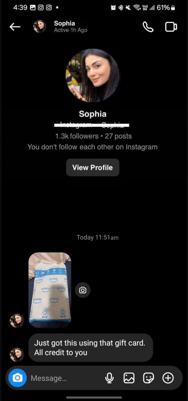 Simulated chat conversation 1